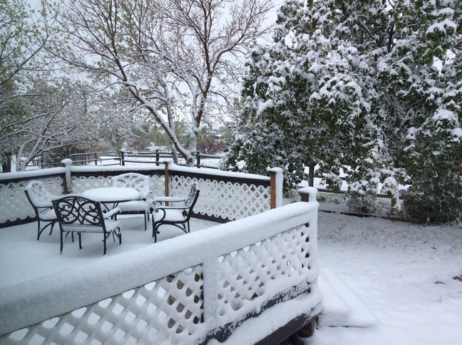 Sneeuw in de voortuin