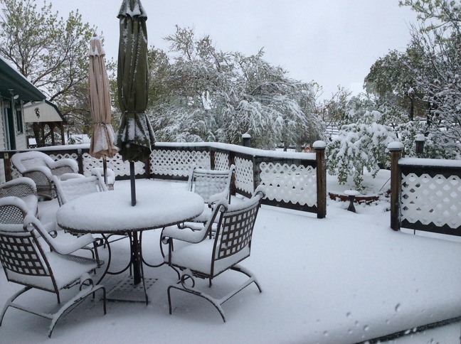 Sneeuw in de achtertuin