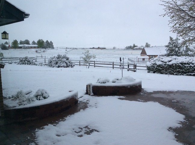 Sneeuw in de zijtuin