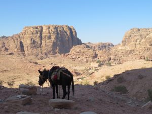Uitzicht in Petra