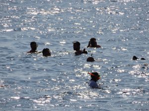 Snorkelen in de Rode Zee