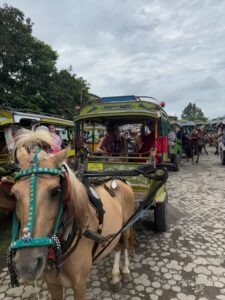 A Cidomo in Banyu Mulek