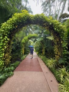Singapore botanical garden