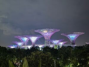 Singapore Supertree Grove